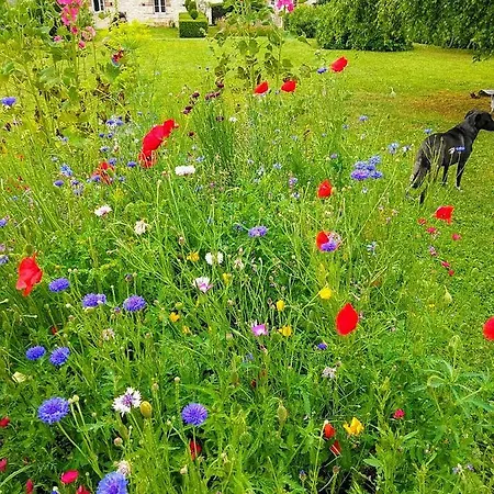 홈스테이 La Dilettante *