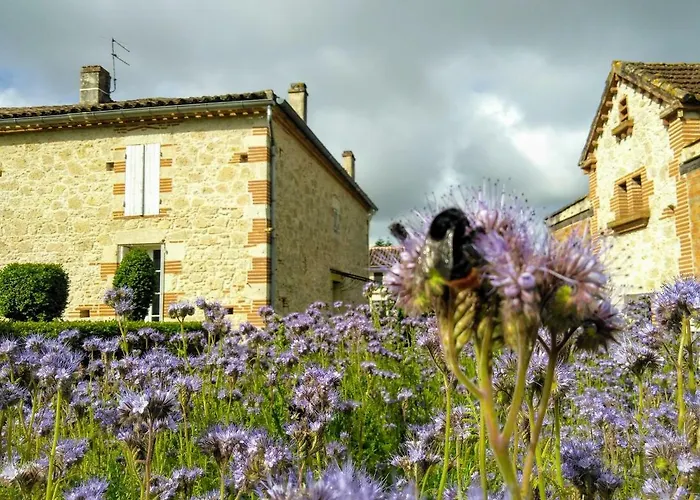 La Dilettante Kwatera prywatna *